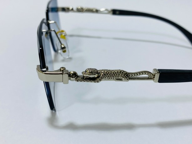 Cartier-OW3077