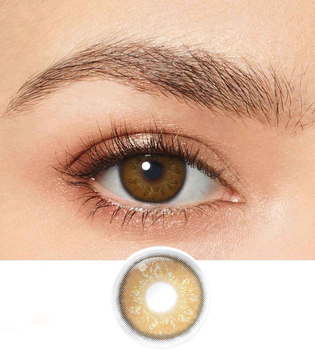 Mist Brown Magister Contact Lens